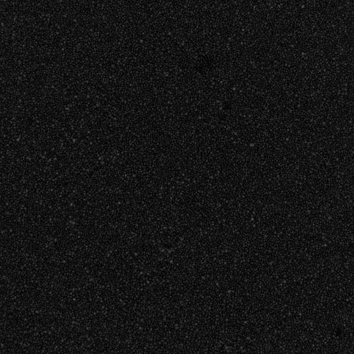 Q1020 BLACK 40S