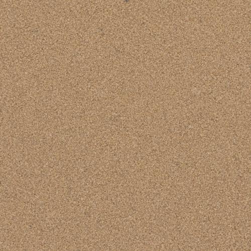 Q1240 TAN 40S